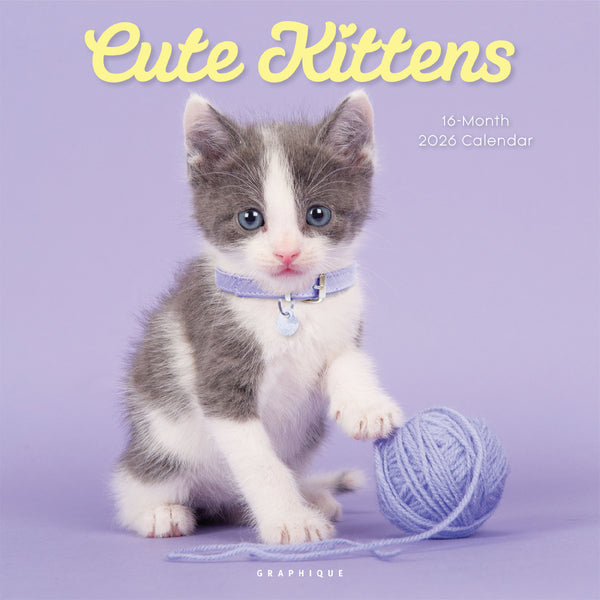 Cute Kittens 12 x 12 Wall Calendar