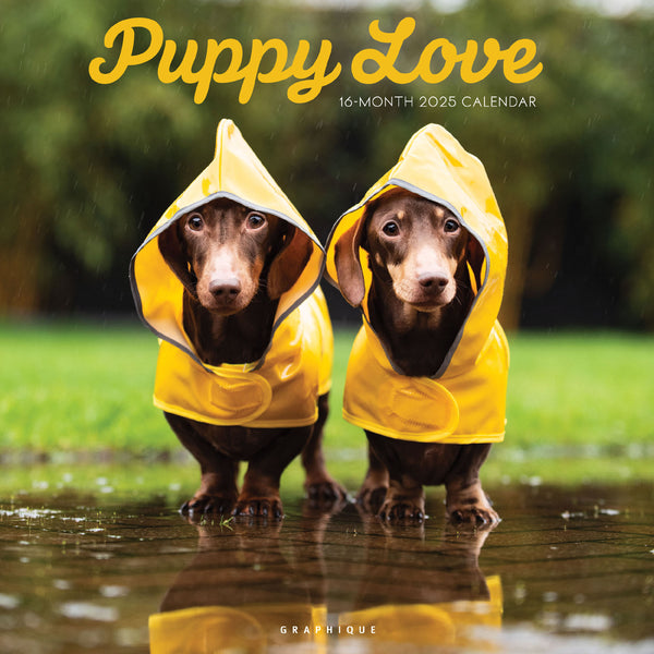 Puppy Love 12 x 12 Wall Calendar