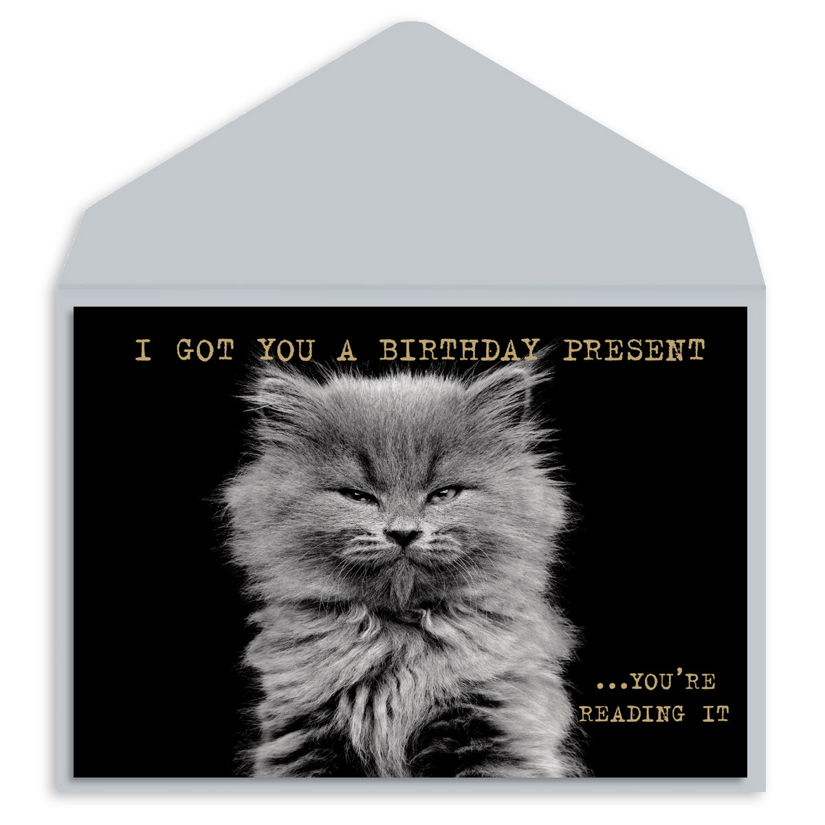 Angry Cat Birthday Card | 1 ct | Black & Grey | Includes Envelope ...