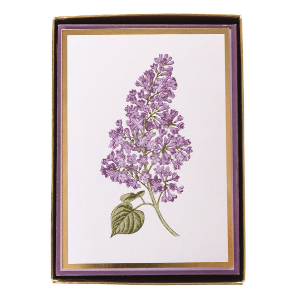 Lilacs Boxed Cards