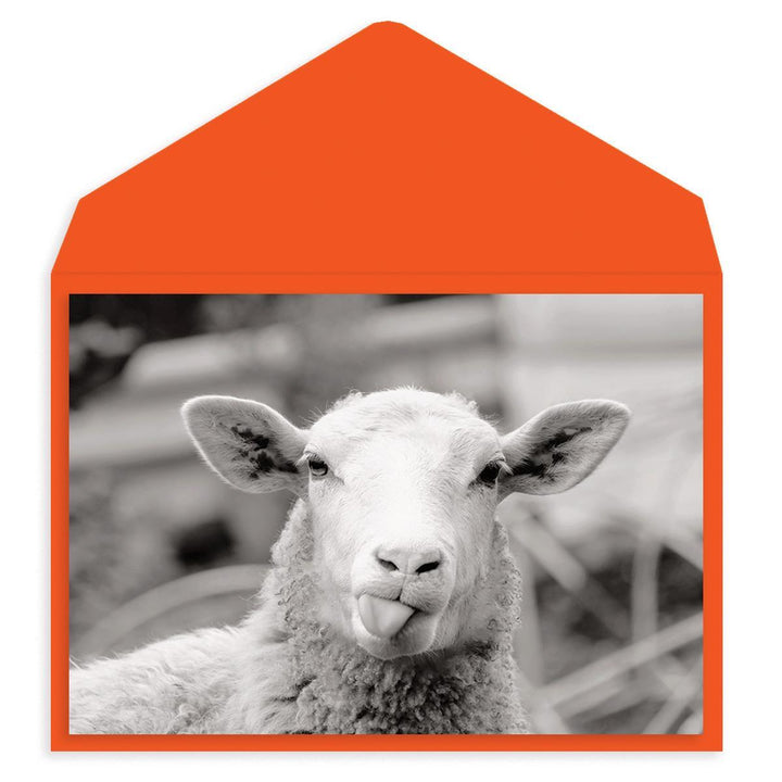 Baaad Sheep Birthday Card - Graphique de France