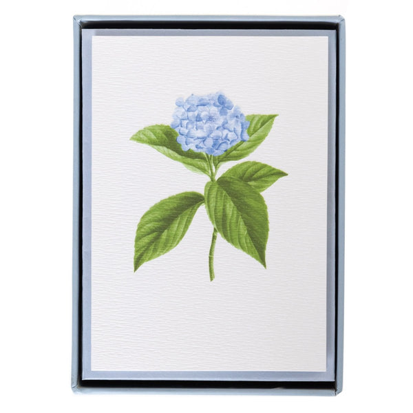 Blue Hydrangea Boxed Cards - Graphique de France