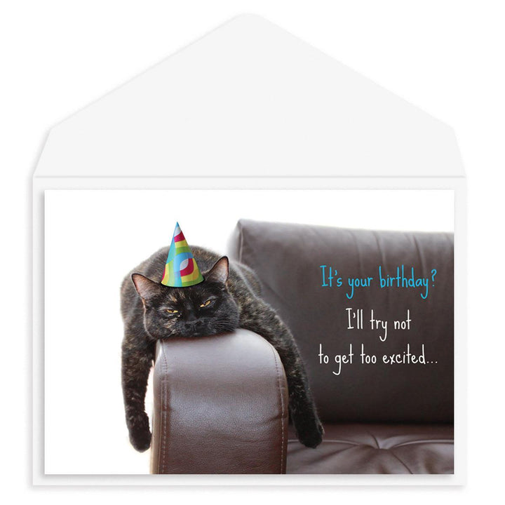 Bored Cat Birthday Card - Graphique de France