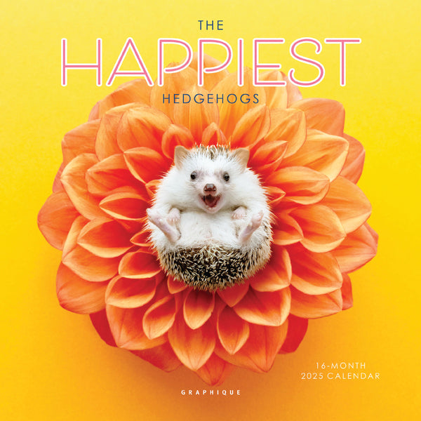 Happiest Hedgehogs 7 x 7 Mini Calendar