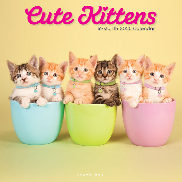 Cute Kittens 12 x 12 Wall Calendar