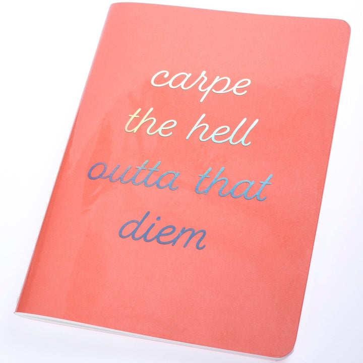 Carpe Diem 6 x 8 Vinyl Journal - Graphique de France