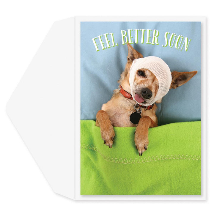 Chihuahua Get Well Card - Graphique de France