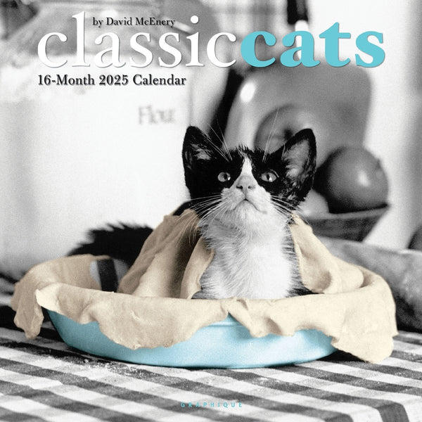 Classic Cats 12 x 12 Wall Calendar - Graphique de France