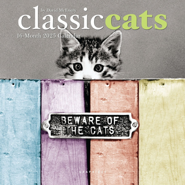 Classic Cats 7 x 7 Mini Calendar - Graphique de France