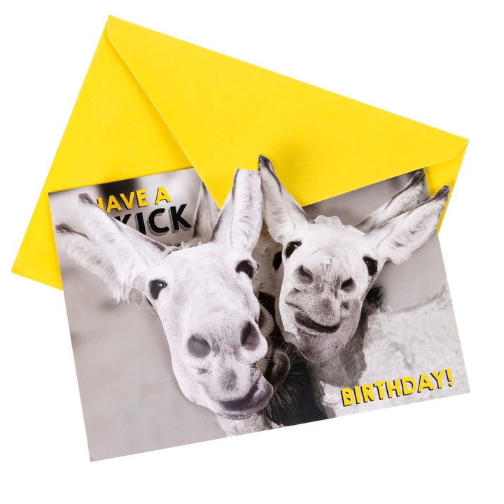 Donkeys Birthday Handmade Card - Graphique de France