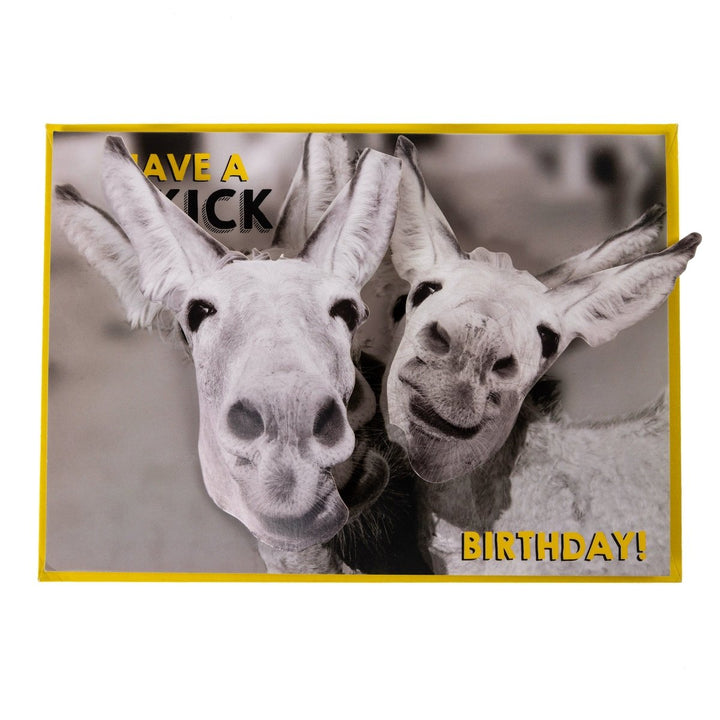 Donkeys Birthday Handmade Card - Graphique de France