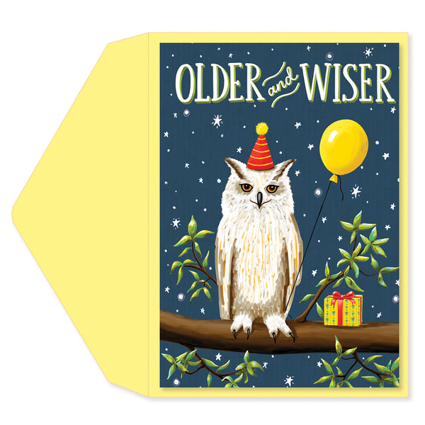 Older and Wiser Greeting Card