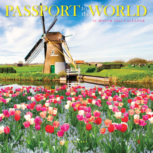 Passport to the World 7 x 7 Mini Calendar