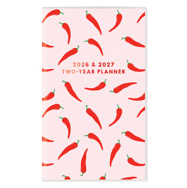 Fun Pattern 2-Year Pocket Planner