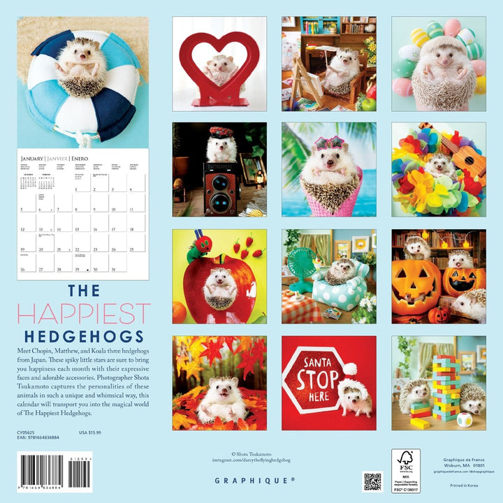 Happiest Hedgehogs 12 x 12 Wall Calendar - Graphique de France