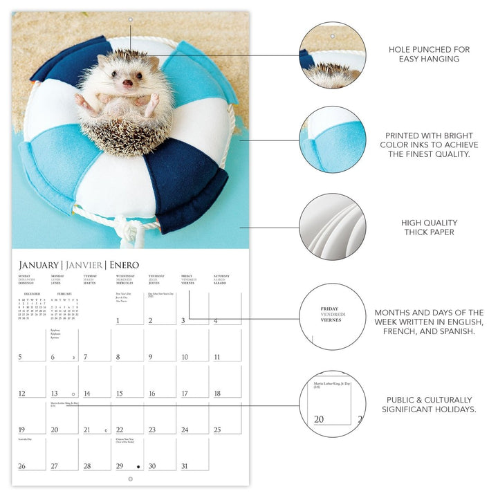 Happiest Hedgehogs 12 x 12 Wall Calendar - Graphique de France
