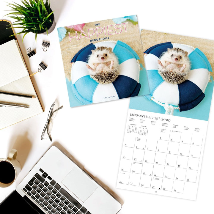 Happiest Hedgehogs 12 x 12 Wall Calendar - Graphique de France