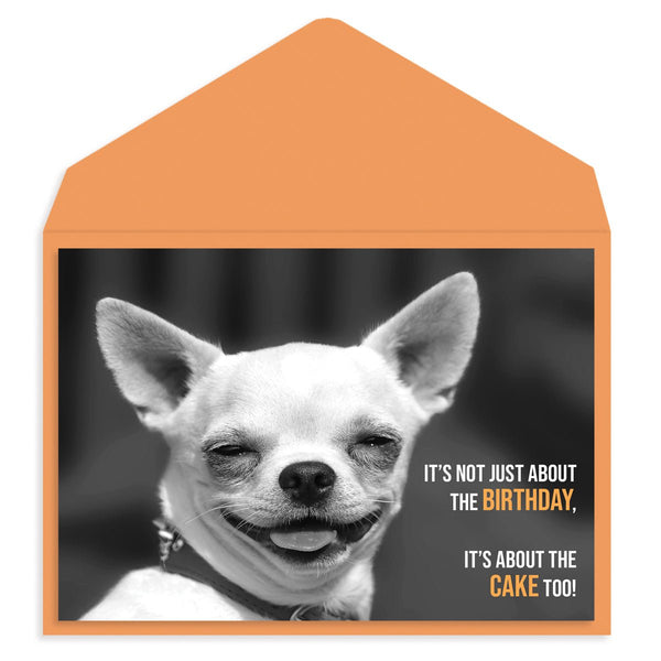 Happy Dog Birthday Card - Graphique de France