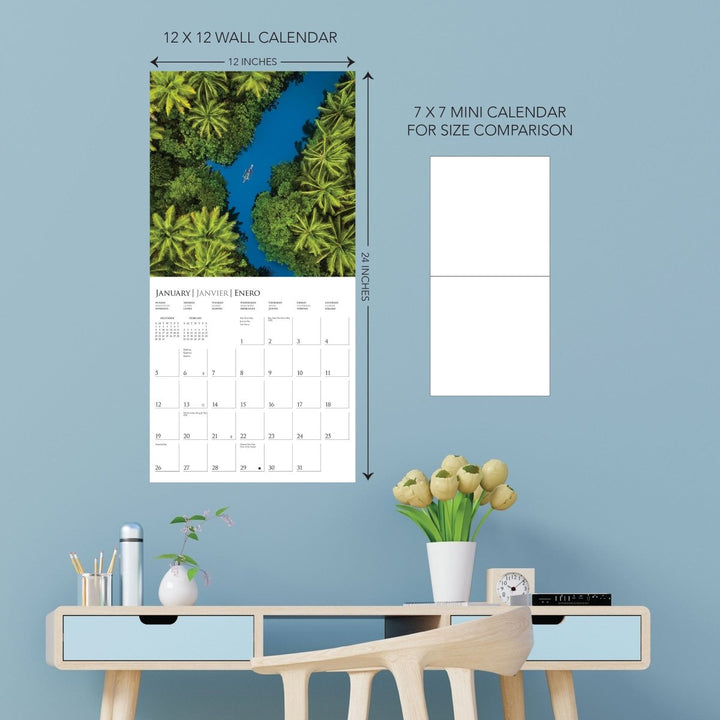 Life From Above 12 x 12 Wall Calendar - Graphique de France