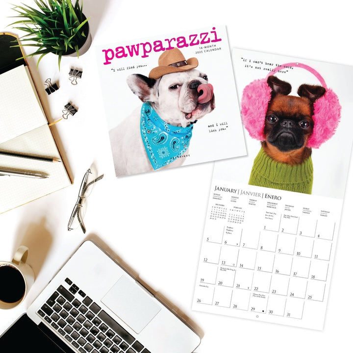 Pawparazzi 7 x 7 Mini Calendar - Graphique de France