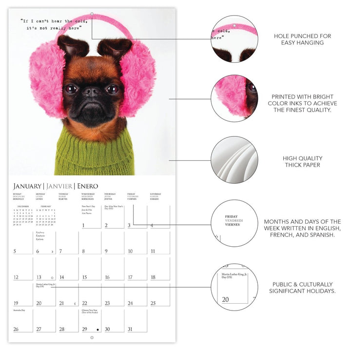 Pawparazzi 7 x 7 Mini Calendar - Graphique de France