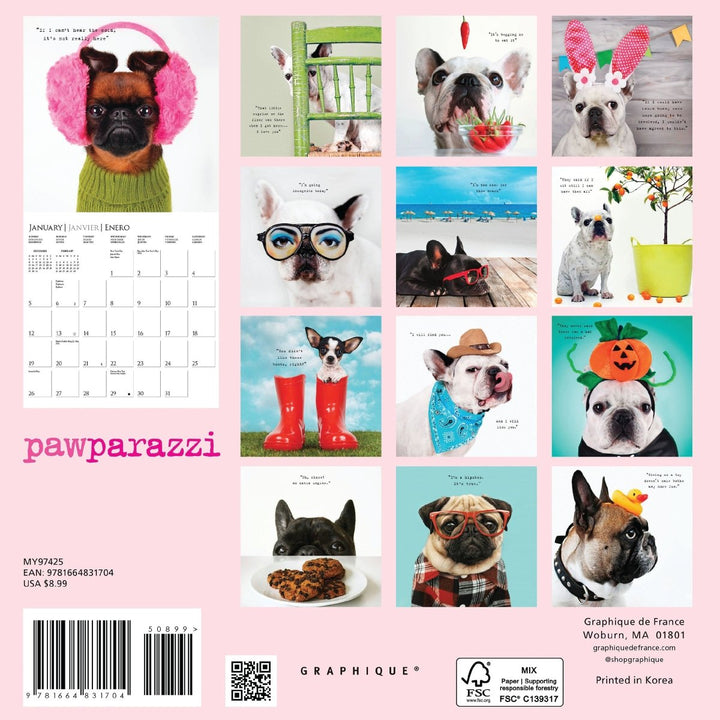 Pawparazzi 7 x 7 Mini Calendar - Graphique de France