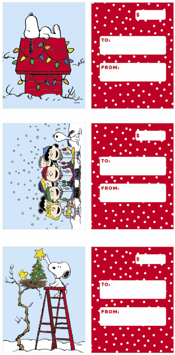 Peanuts Classic Holiday Gift Card Holder Set of 3 - Graphique de France