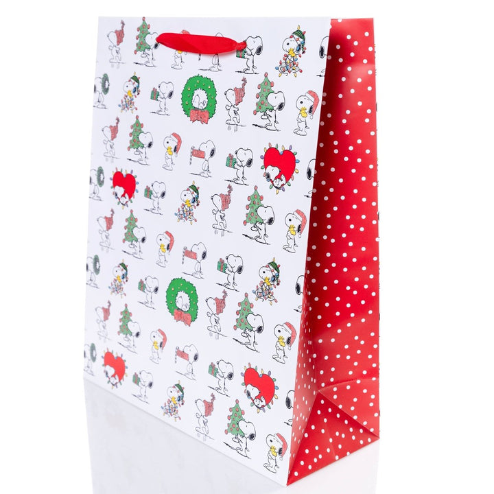 Peanuts Holiday Gift Bag & Tag Set - Graphique de France