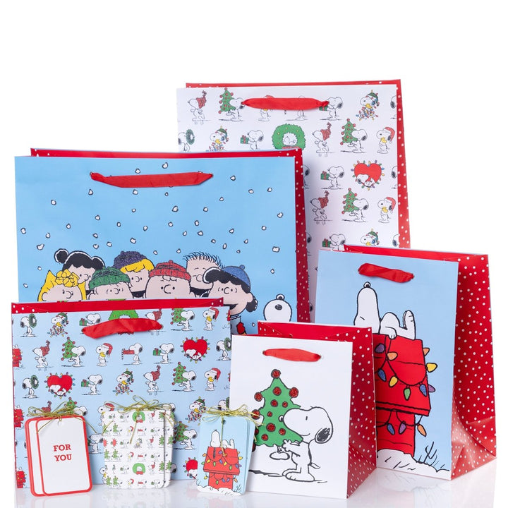 Peanuts Holiday Gift Bag & Tag Set - Graphique de France