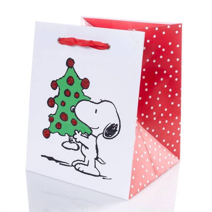 Peanuts Holiday Gift Bag & Tag Set - Graphique de France