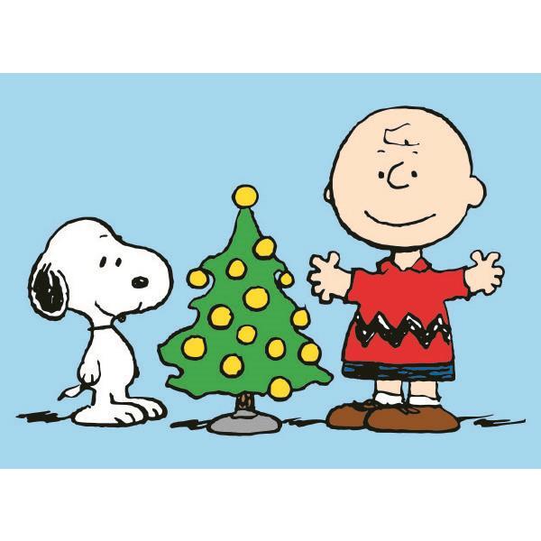 Peanuts&#8482; Holiday Assorted Boxed Card - Graphique de France