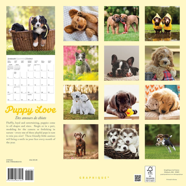 Puppy Love 12 x 12 Wall Calendar - Graphique de France