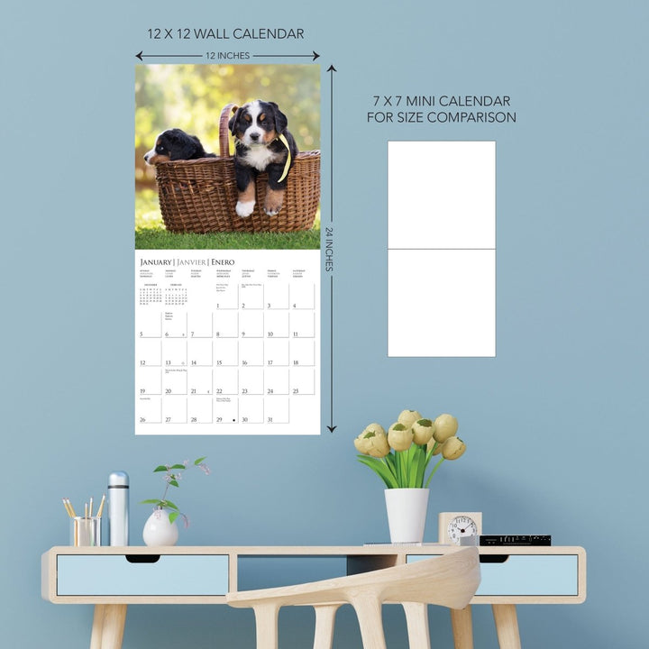 Puppy Love 12 x 12 Wall Calendar - Graphique de France