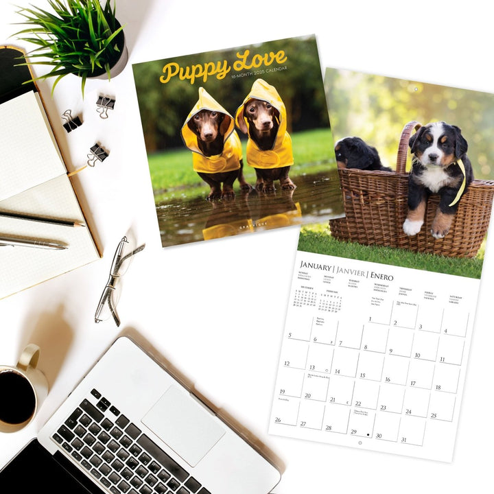 Puppy Love 12 x 12 Wall Calendar - Graphique de France