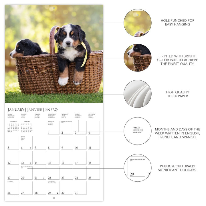 Puppy Love 12 x 12 Wall Calendar - Graphique de France