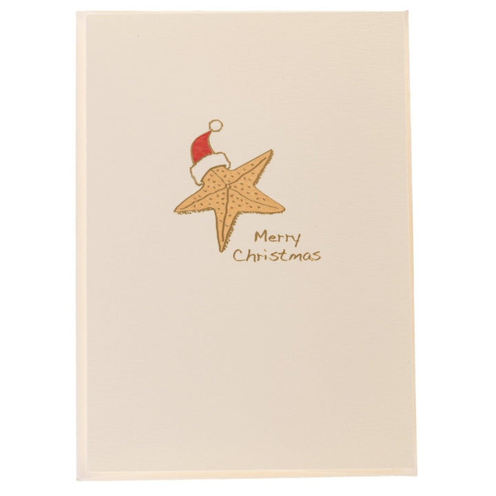 Starfish La Petite Presse Noel Boxed Cards - Graphique de France