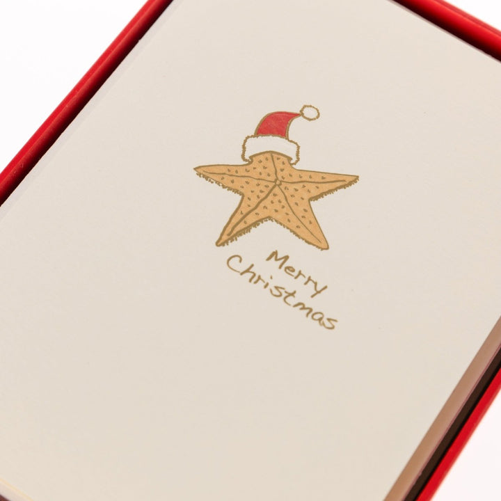 Starfish La Petite Presse Noel Boxed Cards - Graphique de France