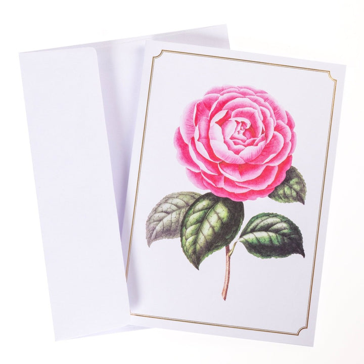 Vintage Floral Keepsake Boxed Cards - Graphique de France