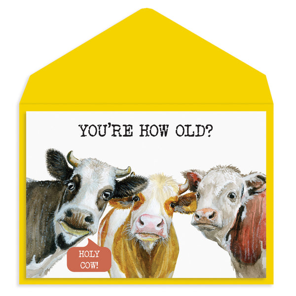 Cows Birthday Card