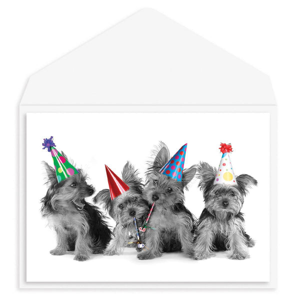 Puppy Party Birthday Card