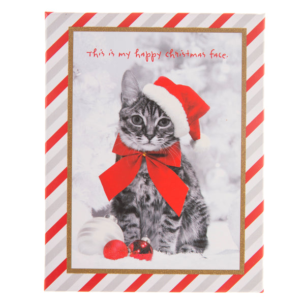 Cats Holiday Assorted Boxed Card
