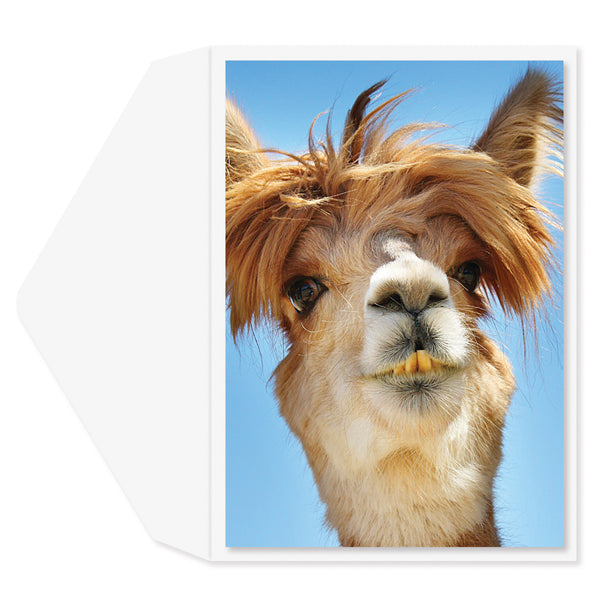 Flawless Alpaca Birthday Card