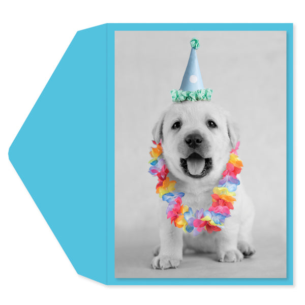 Puppy Party Hat Birthday Card
