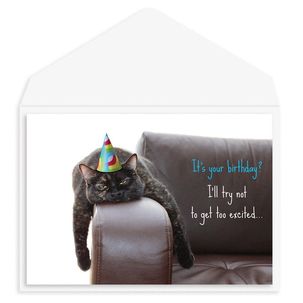 Bored Cat Birthday Card