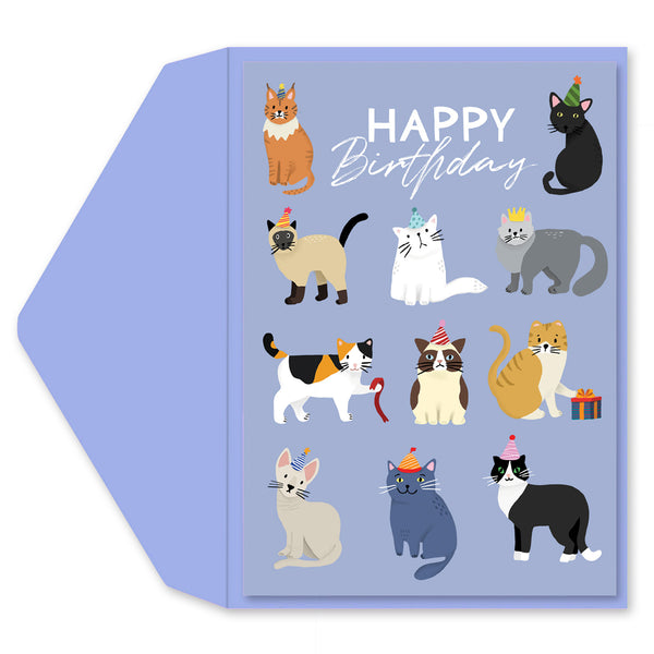 Party Cats Greeting Card