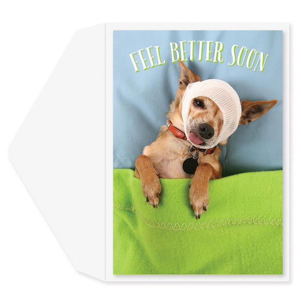 Chihuahua Get Well Card