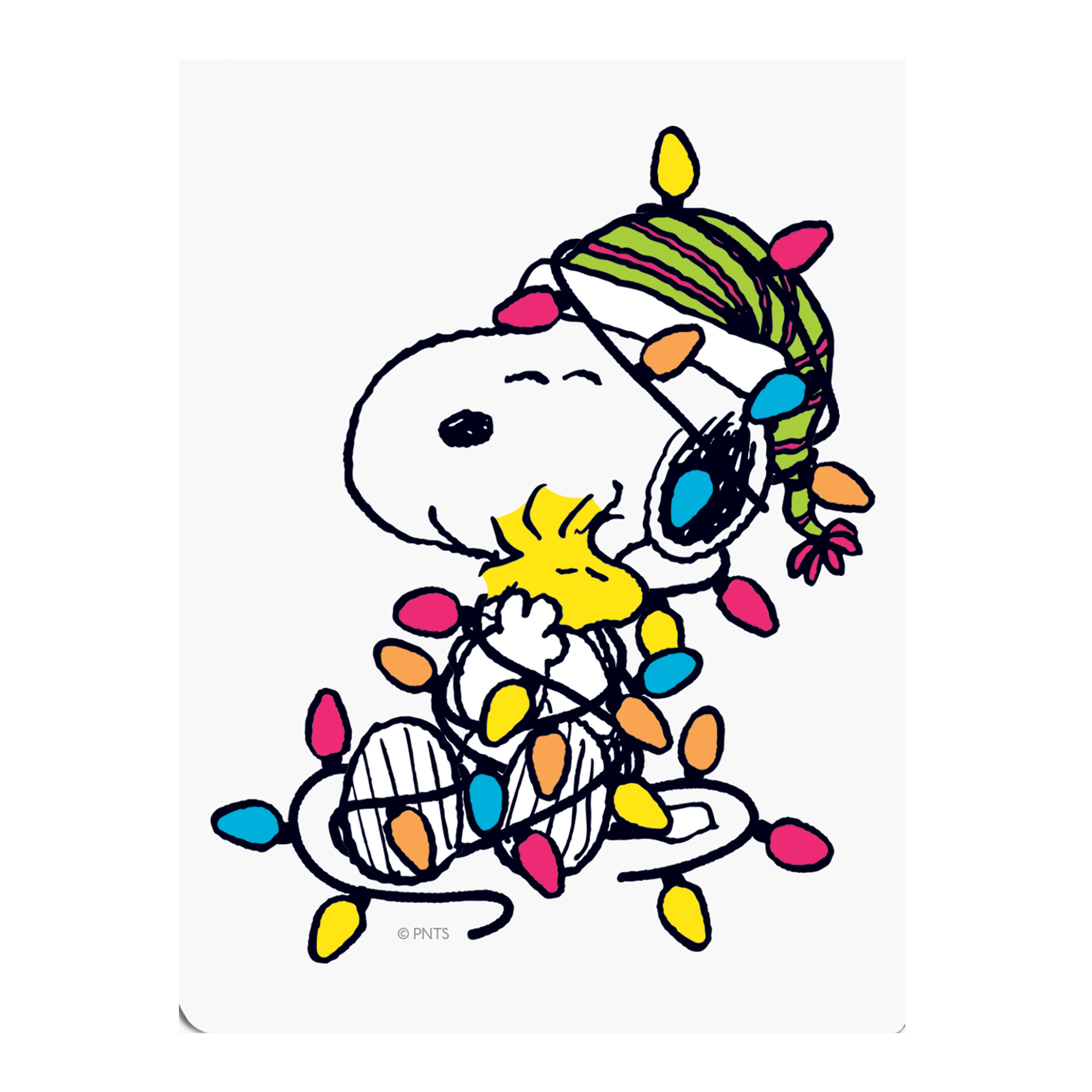 Peanuts™ Single Holiday Gift Tags – Graphique de France