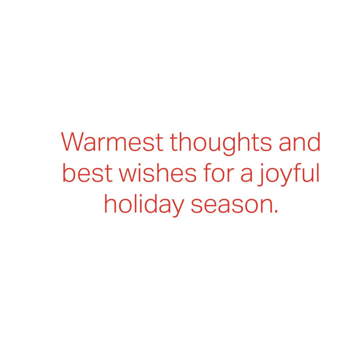 Cardinal and Joy Holiday Petite Assorted Card - Graphique de France