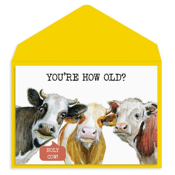 Cows Birthday Card - Graphique de France