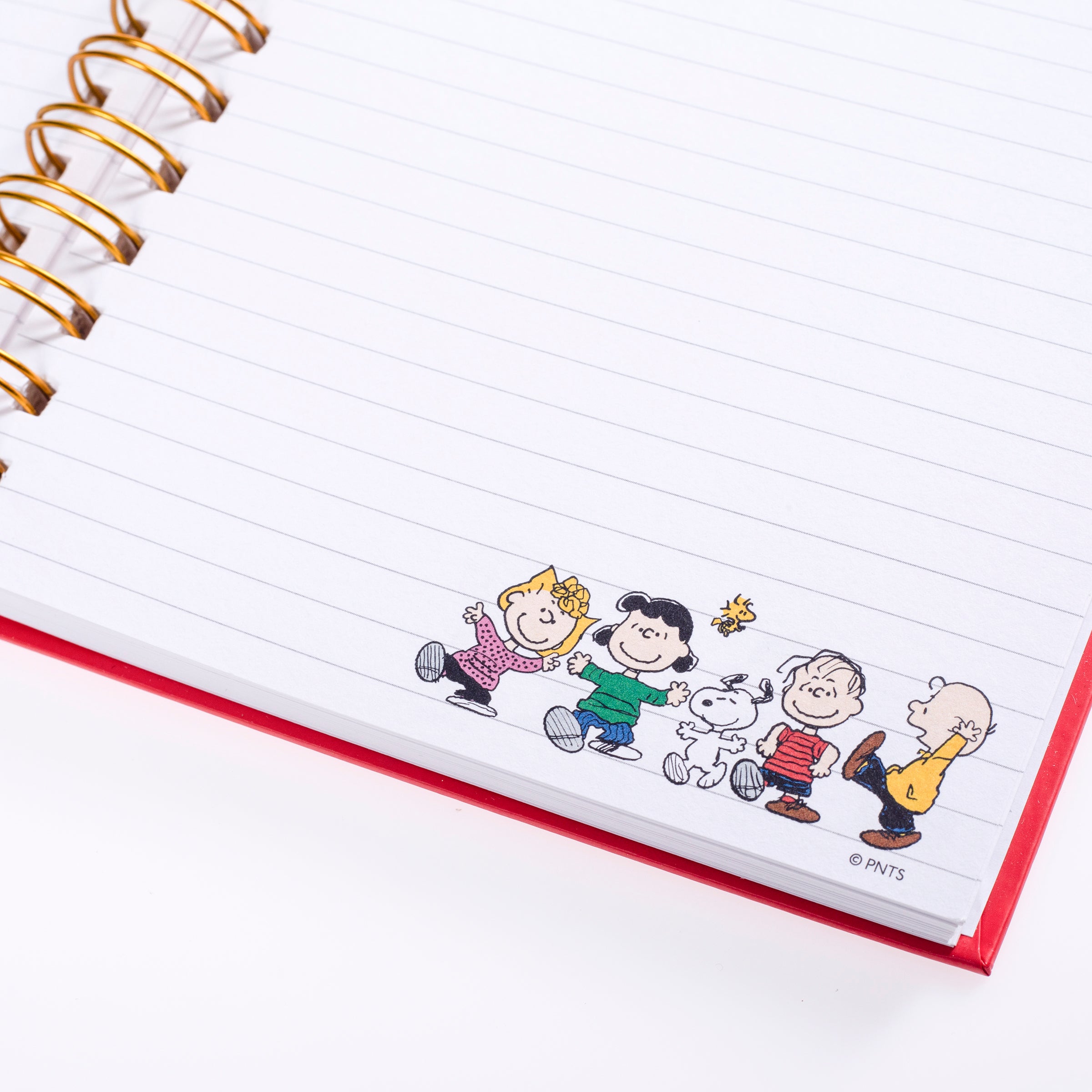 Peanuts™ Gang 6 x 8 Spiral Hard Cover Journal – Graphique de